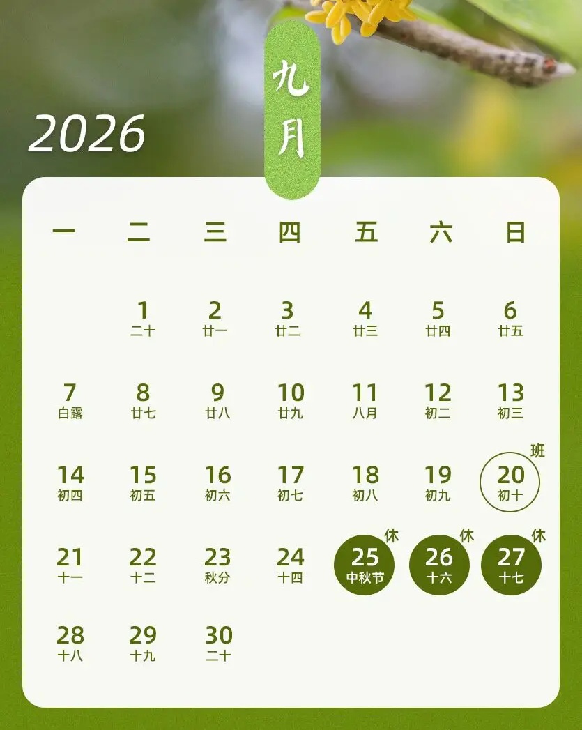 1789545204352035.jpg