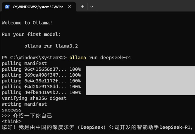 最小算力资源部署（基于Ollama）